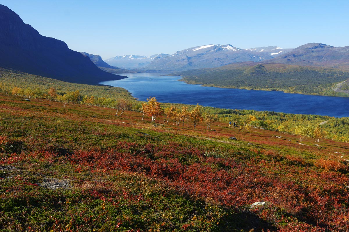 Landskapsvy över Saltoluoktas fjäll under hösten