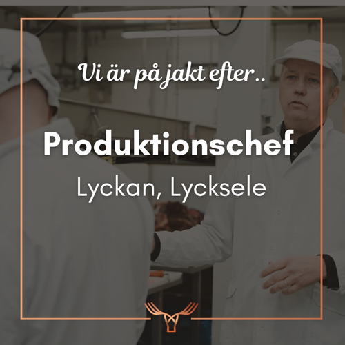 Ny produktionschef